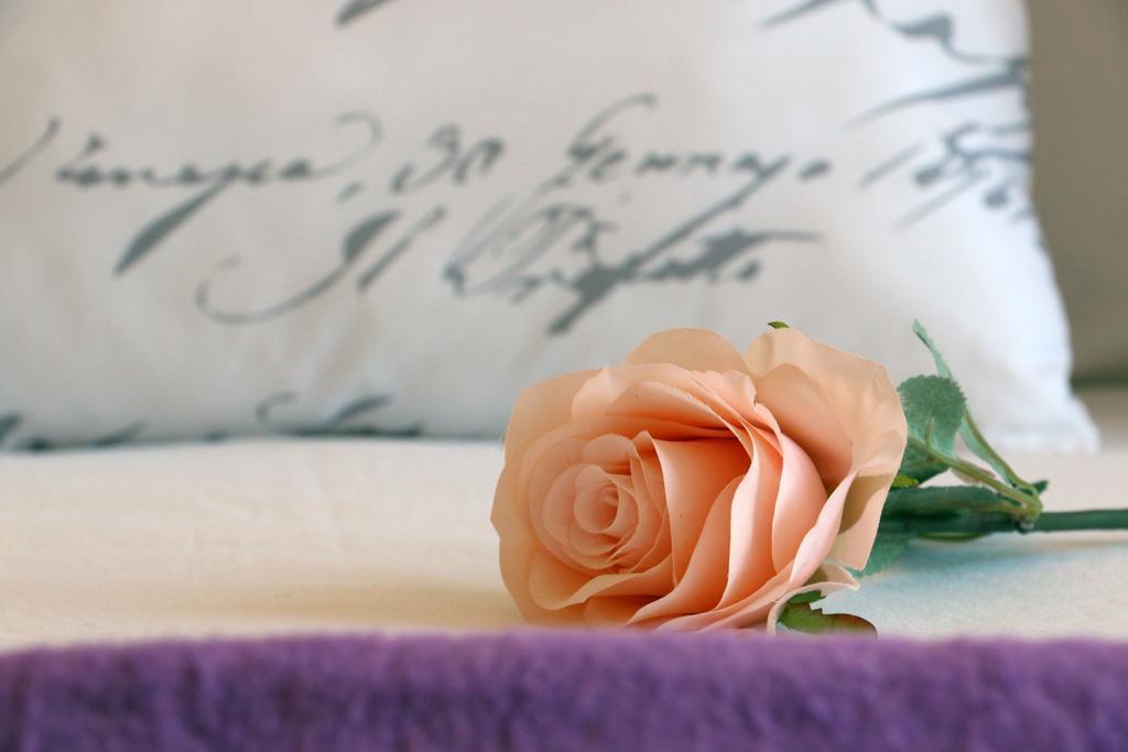Blue Rose Apartment Trogir Luaran gambar